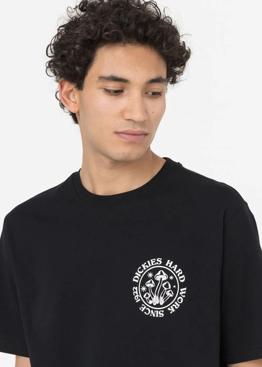 Dickies Men's Bayside Mushroom T-Shirt Black