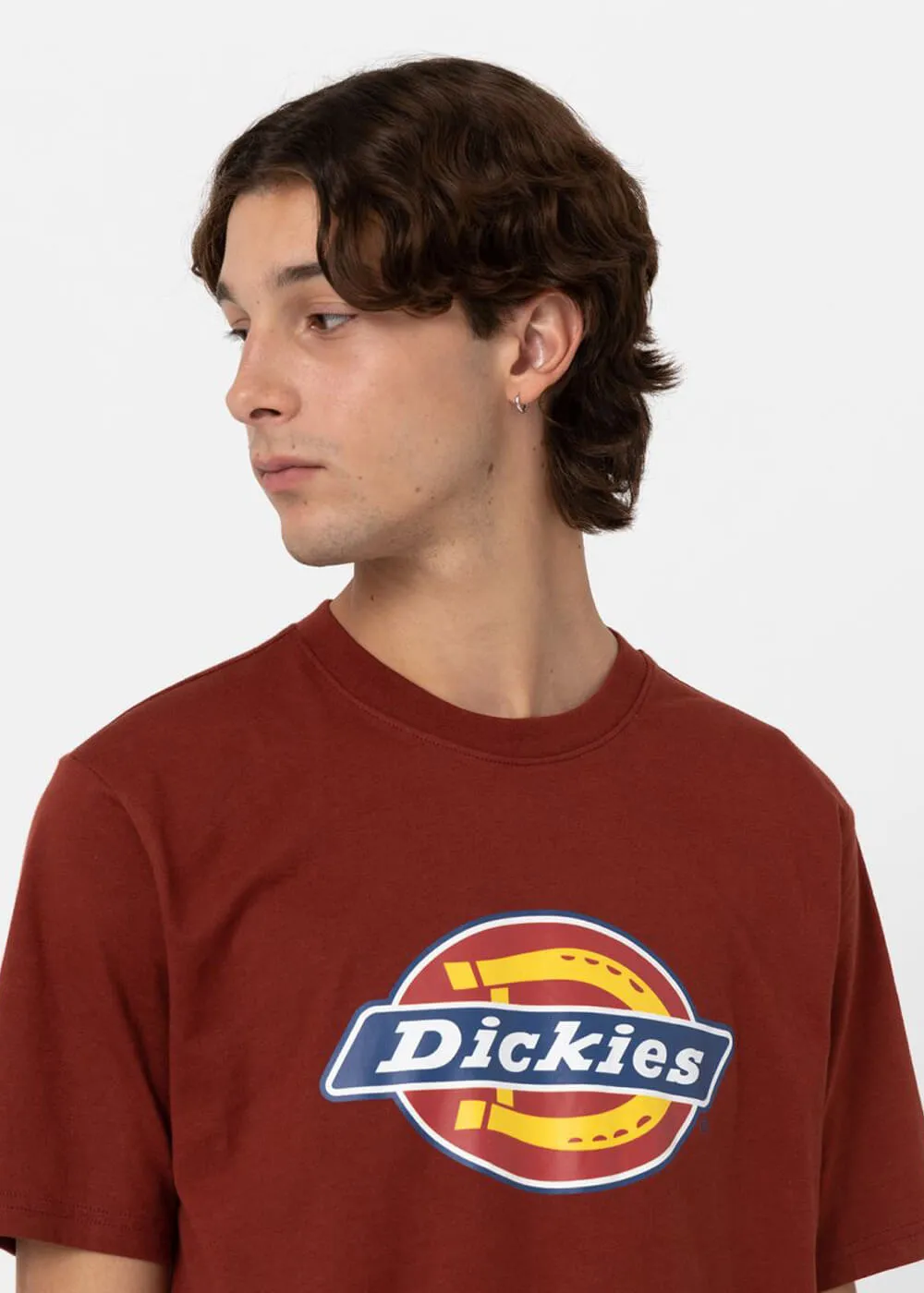 Dickies Men's Icon Horseshoe Logo T-Shirt in Fired Brick