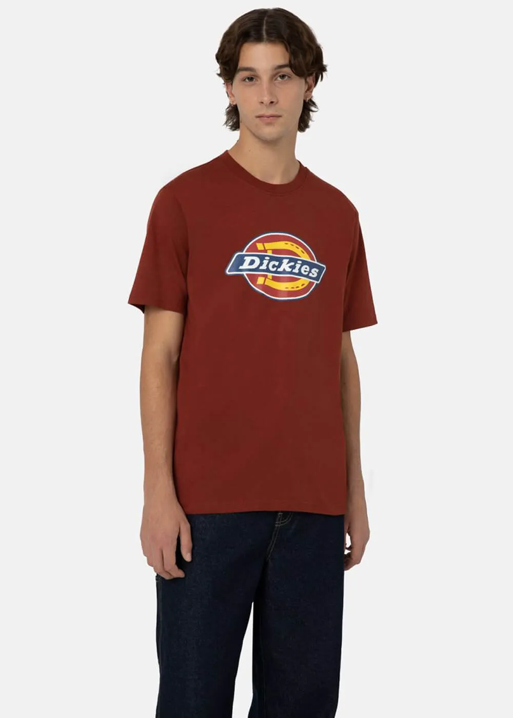 Dickies Men's Icon Horseshoe Logo T-Shirt in Fired Brick