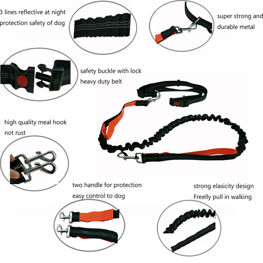 Glow In The Dark Hand Free Jogging Running Dog Leash Phone Grips Bundle