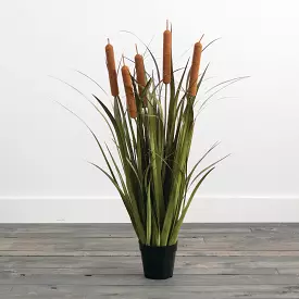 Potted Oniongrass And Cattails