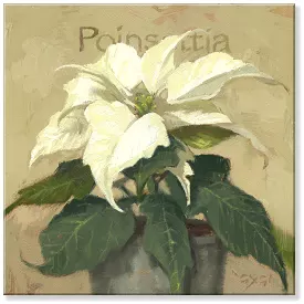 White Poinsettia Wall Art